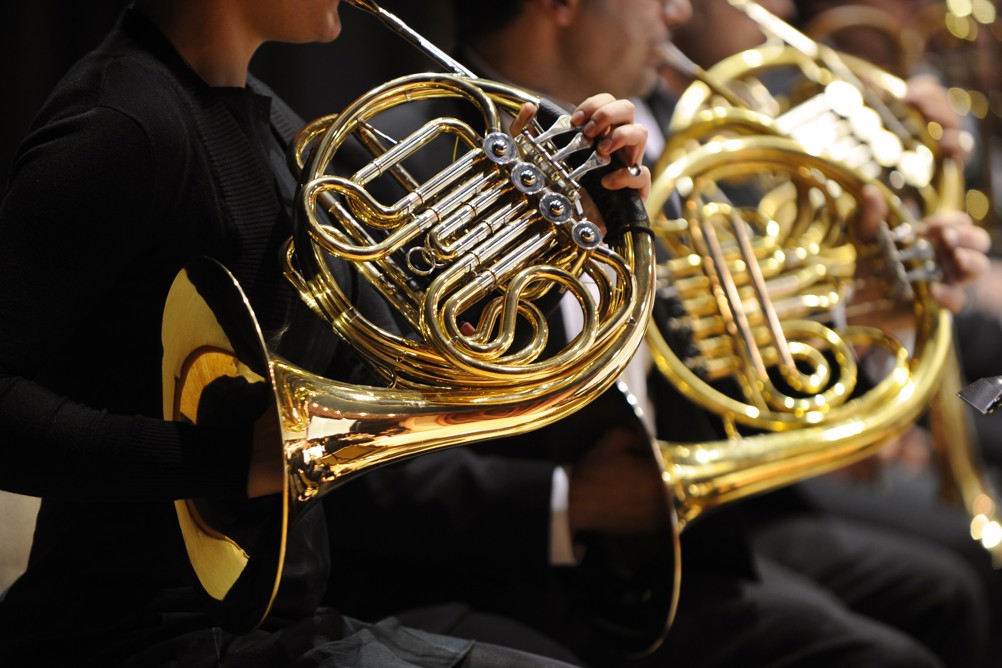 Don t fear the French horn