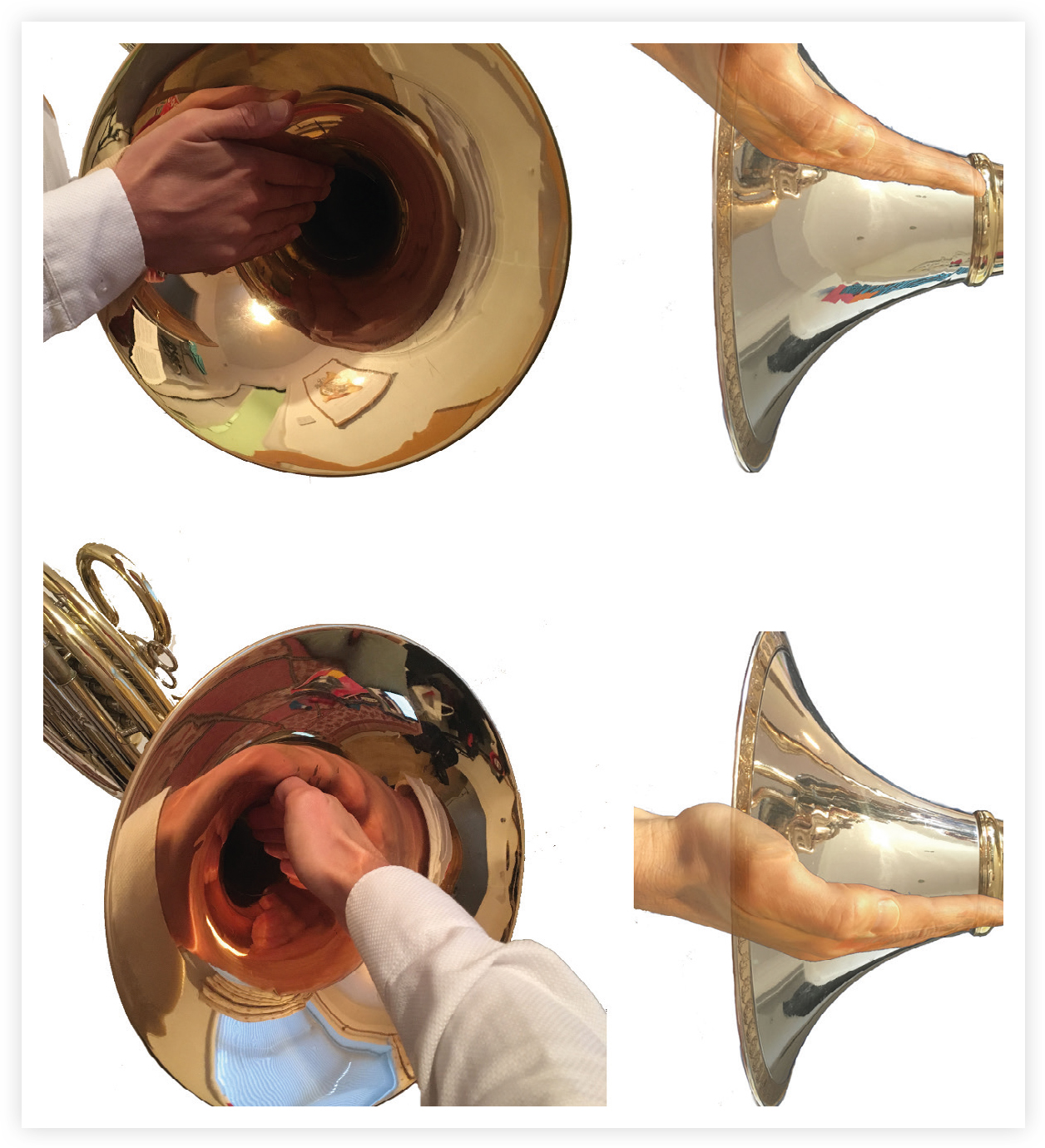 Don t fear the French horn