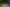 The Astatine Trio  (pianist Berniya Hamie, violinist Maja Horvat, and cellist Riya Hamie) join the BBC New Generation Artists scheme from September