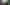 Ableton Live 11