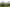 NYCOS on Calton Hill, May 2023